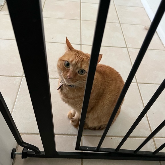 Meet your Posher, Zoë - Picture 6 of 10